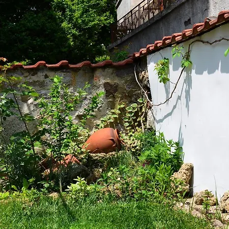 Casa de hóspedes Kani *